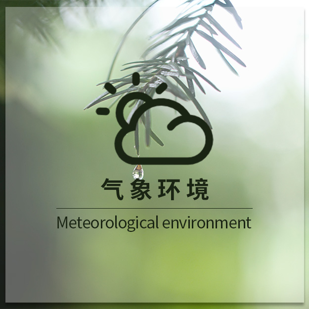 气象环境