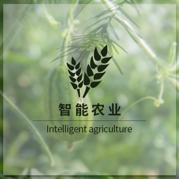 智能农业